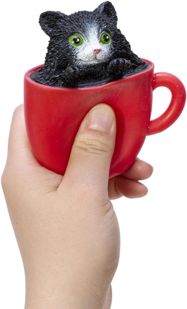 SCHYLLING POP A Chino Kitties